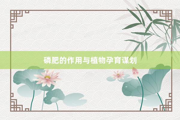 磷肥的作用与植物孕育谋划